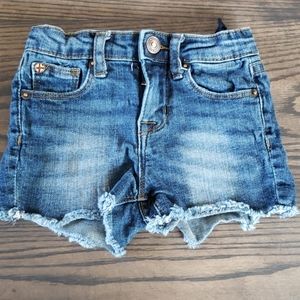 Hudson Jean Shorts